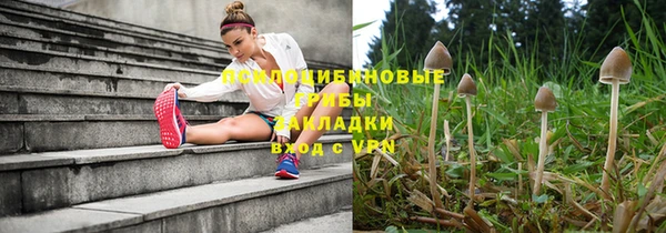марки lsd Белоозёрский