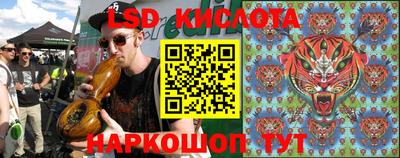 индика Славгород