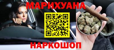 индика Славгород