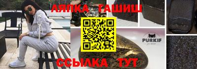 индика Славгород