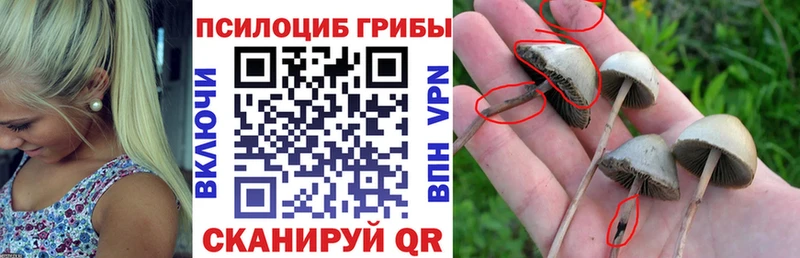 Псилоцибиновые грибы MAGIC MUSHROOMS  Валуйки 